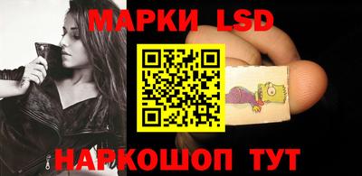 шишки Боровичи