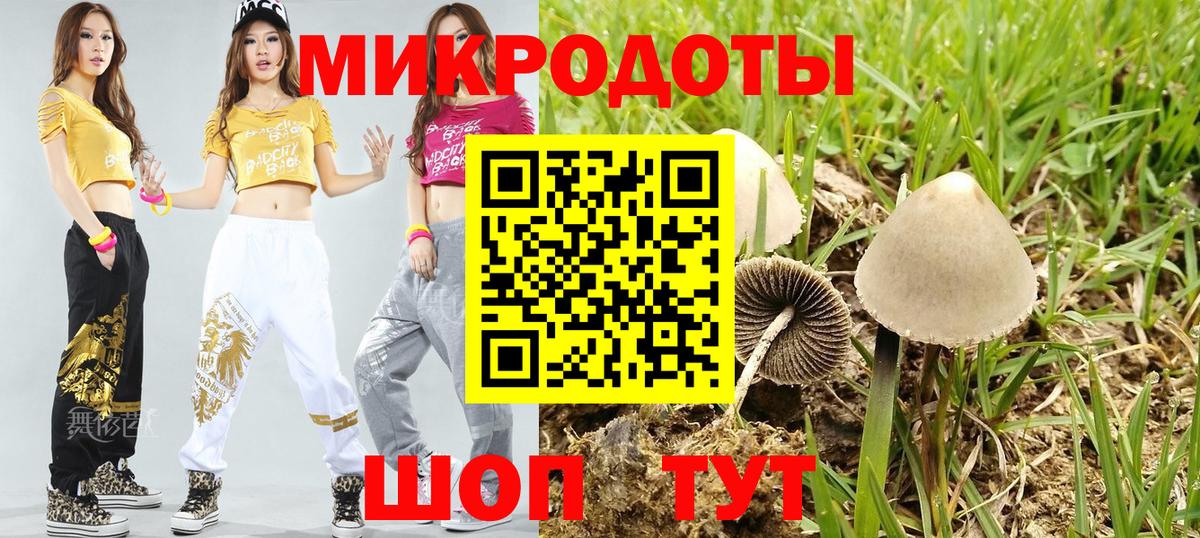 Галлюциногенные грибы ЛСД  Вход с VPN  Псилоцибиновые грибы Psilocybine cubensis  где можно купить наркотик  Грязи 